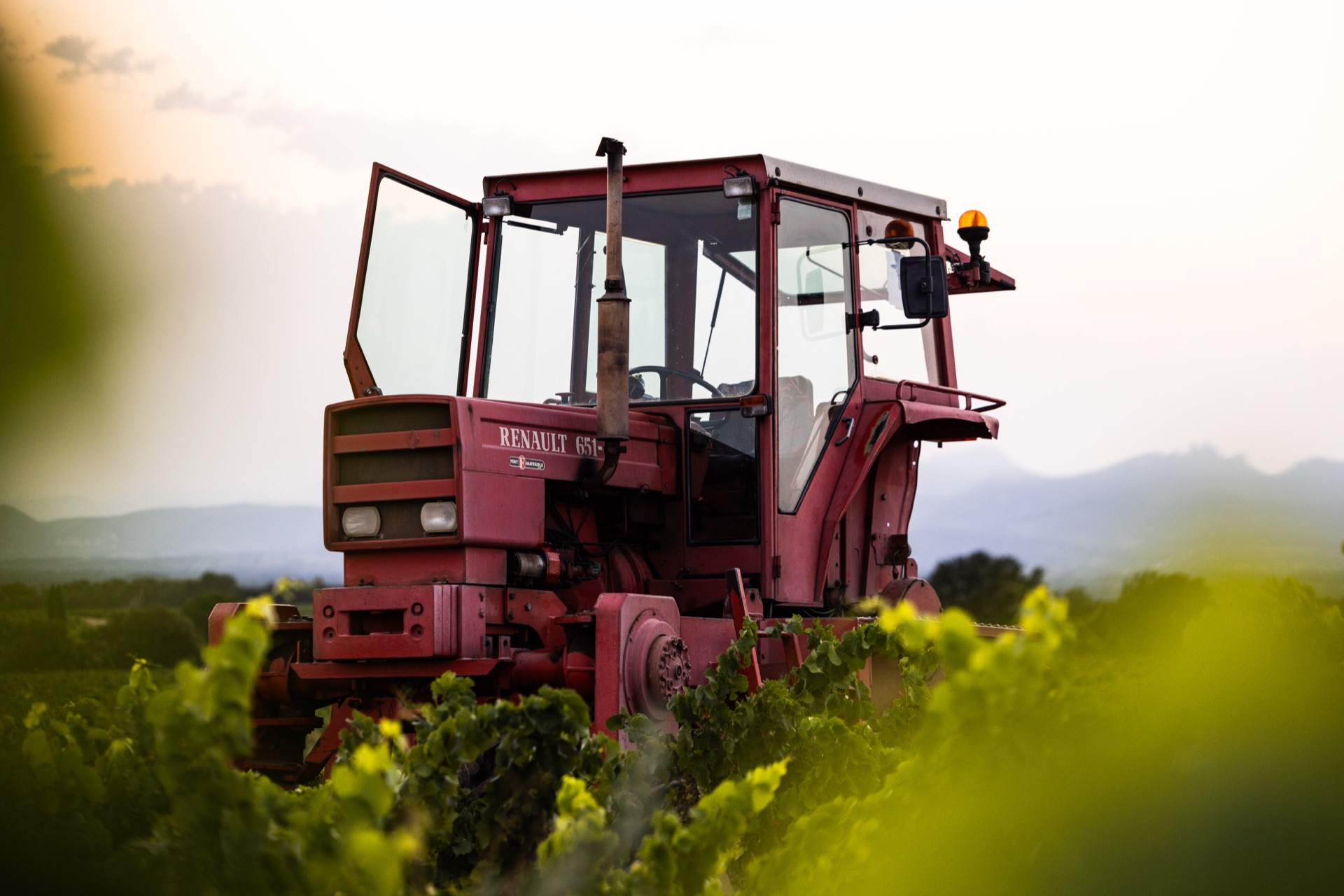A red Renault tractor parked in the vine rows at first light, the ridge line behind