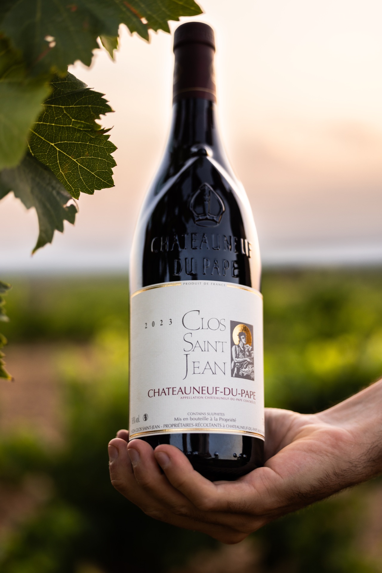 The Clos Saint Jean Châteauneuf-du-Pape held up in the vines in the early light