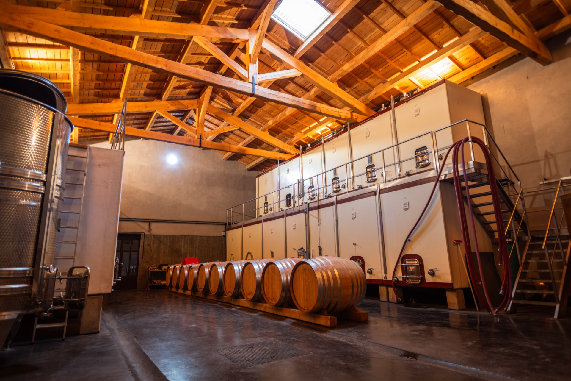 The cellar hall under its timber roof, barrels lined up between the tanks
