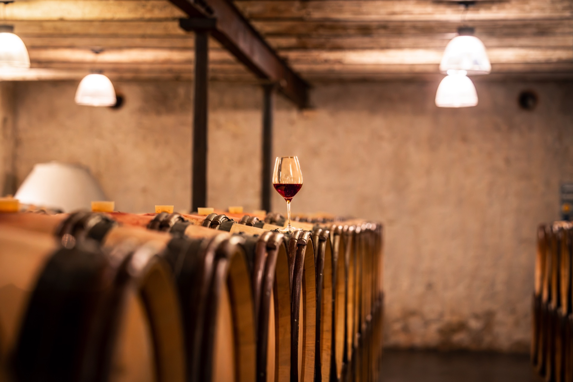 A single glass stood on the barrel row under the cellar lights
