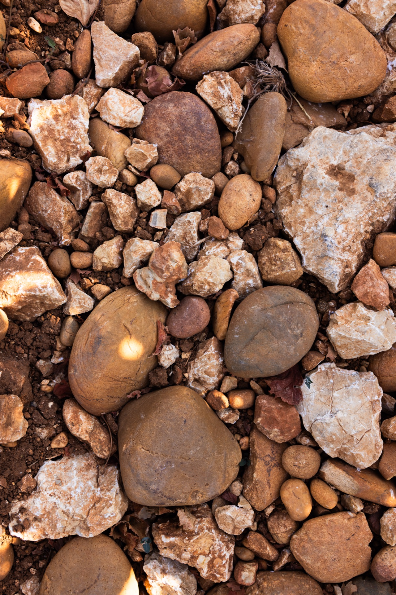 Close on the galets roulés, the round stones that cover these parcels