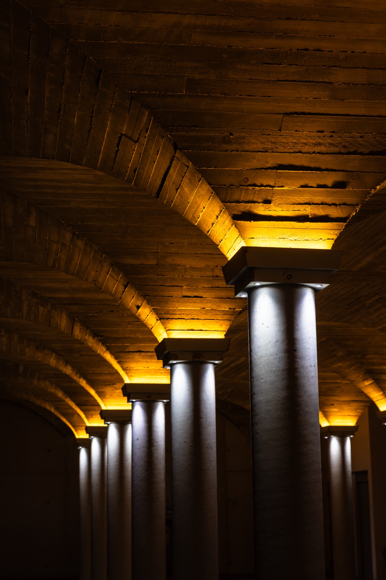 Uplit stone columns and barrel vaulting in the cellar