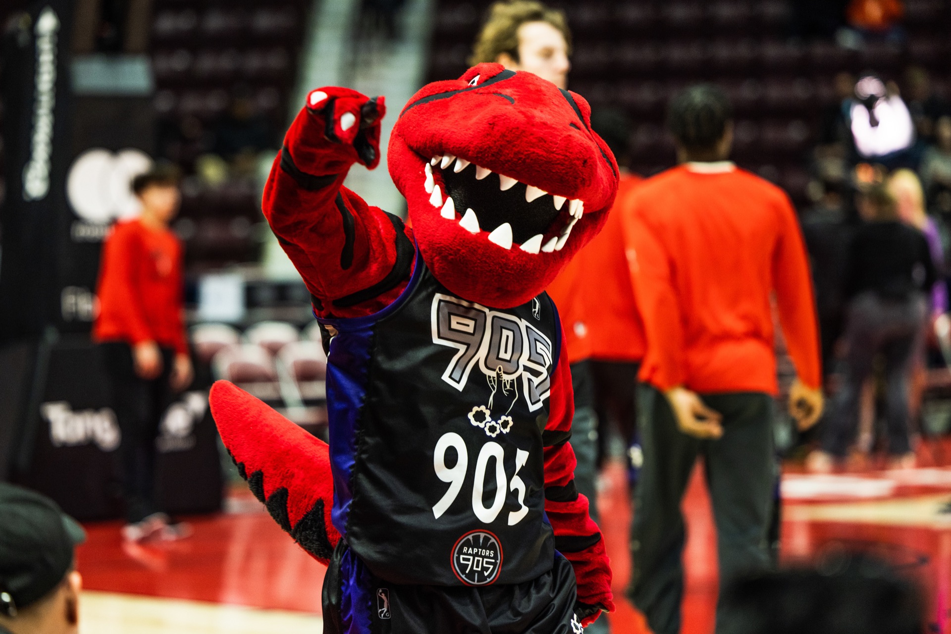 NBA G-League game photography, Mississauga — frame 4