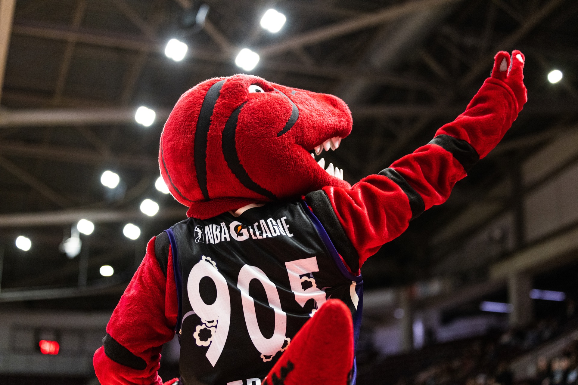 NBA G-League game photography, Mississauga — frame 10