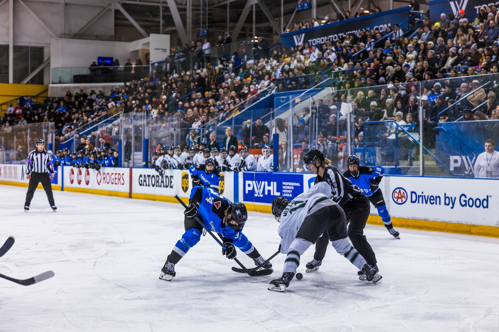 PWHL game photography, Toronto — frame 2