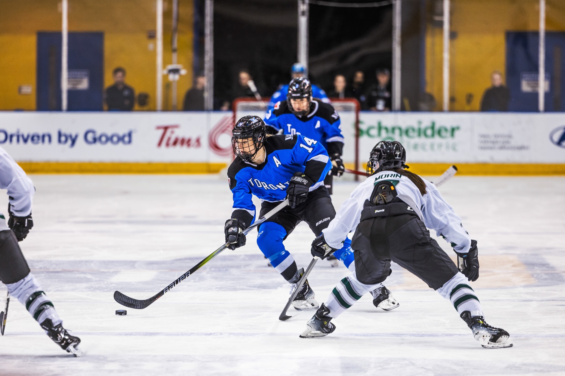 PWHL game photography, Toronto — frame 4