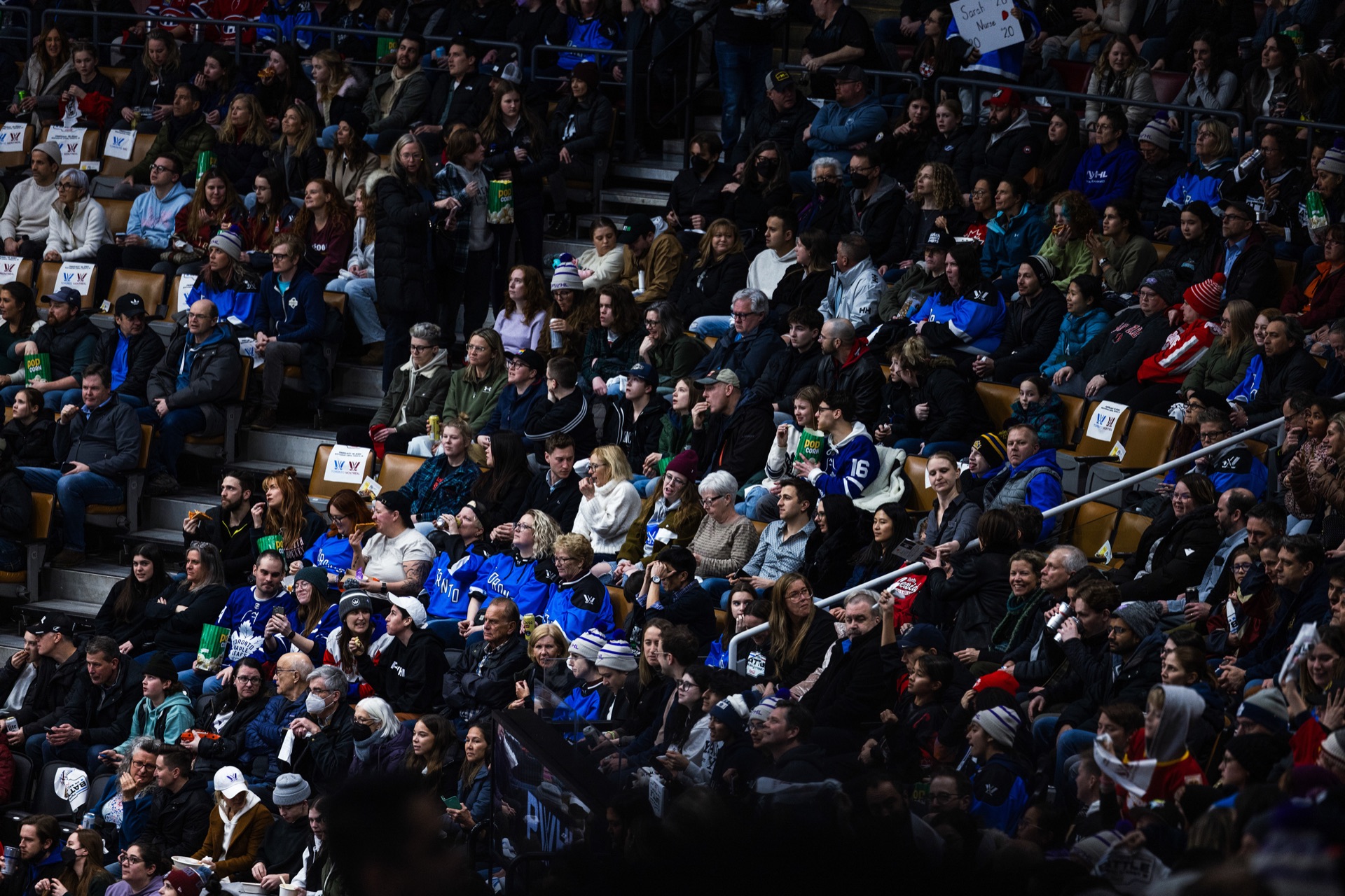PWHL game photography, Toronto — frame 5