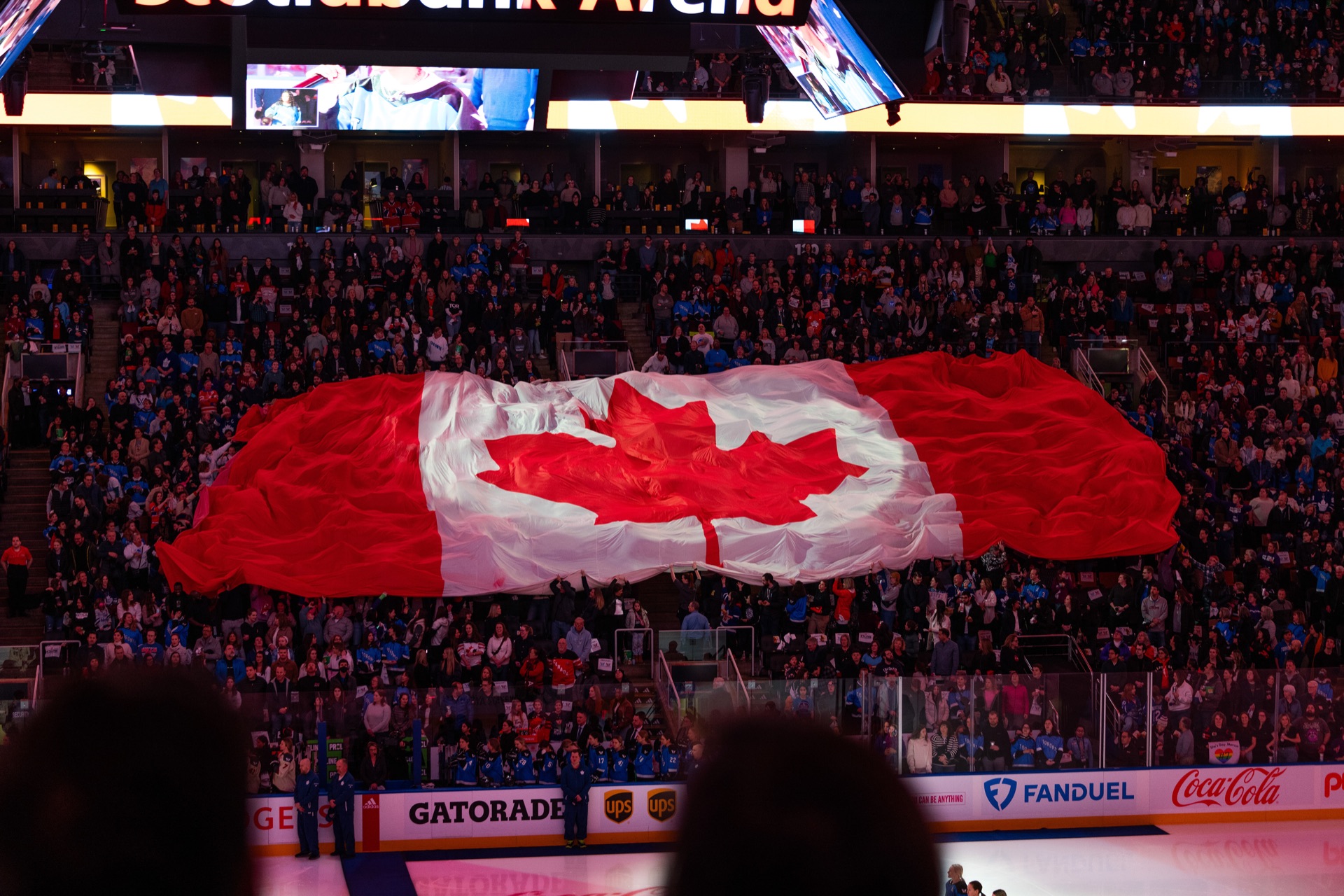 PWHL game photography, Toronto — frame 6