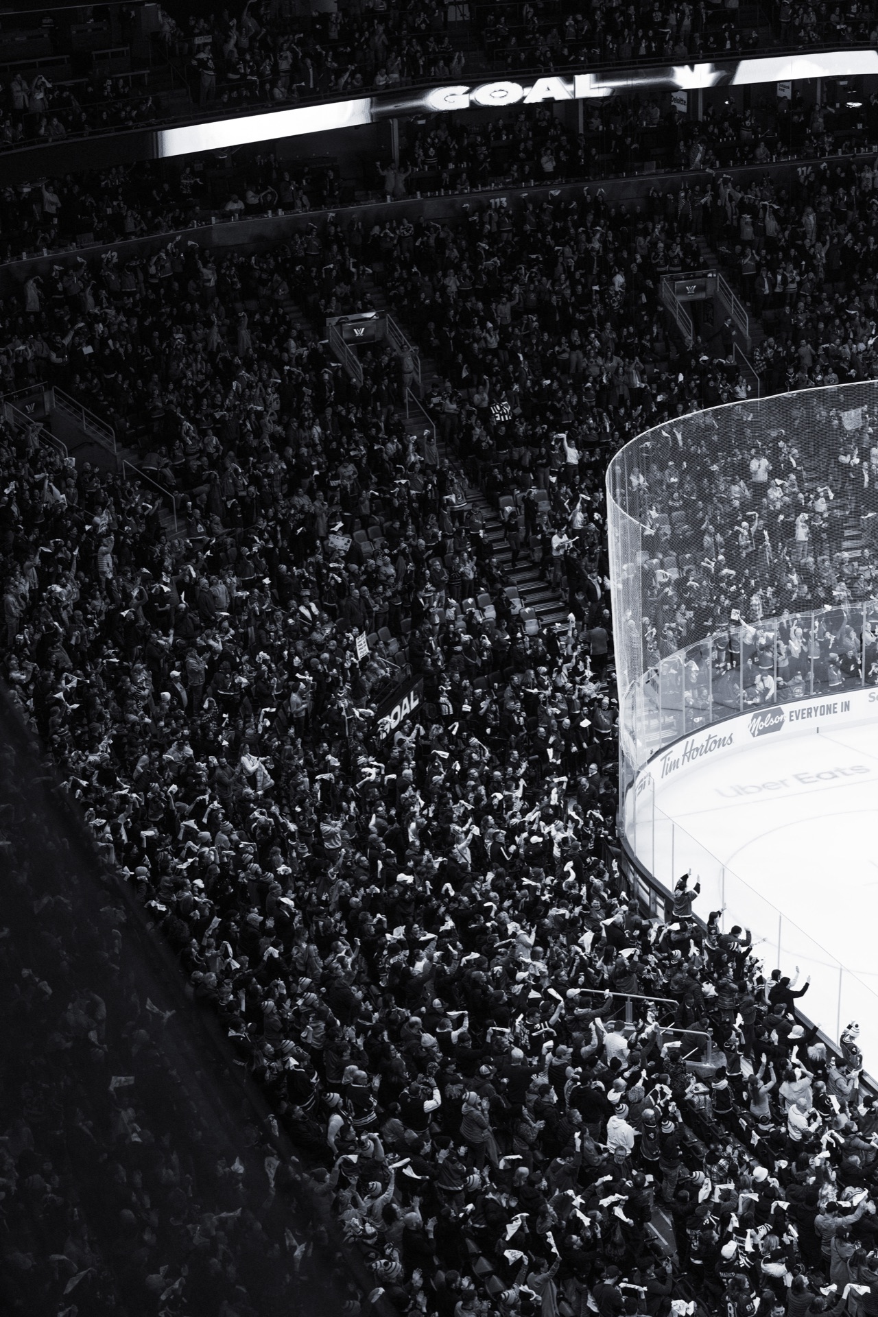 PWHL game photography, Toronto — frame 7