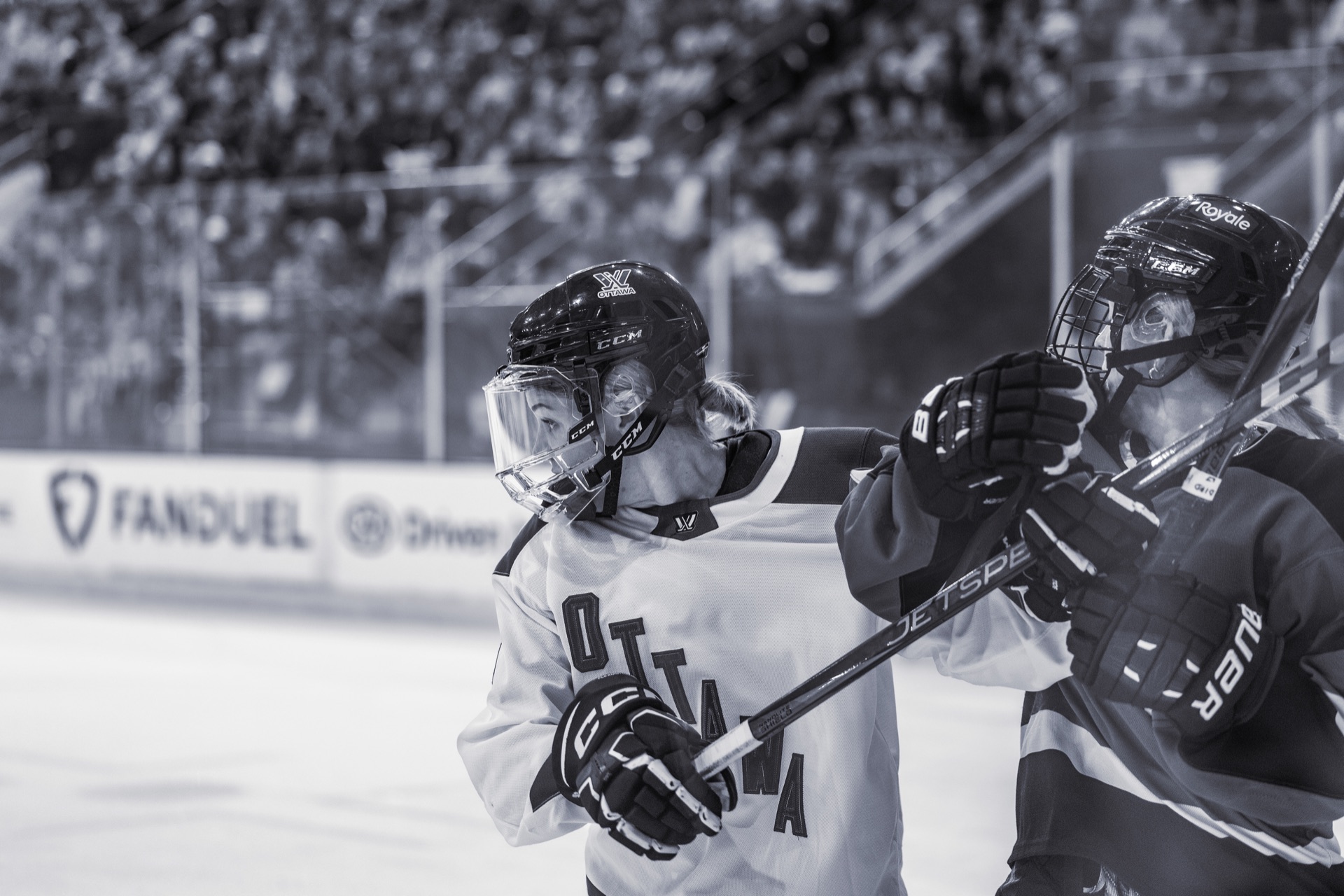 PWHL game photography, Toronto — frame 10