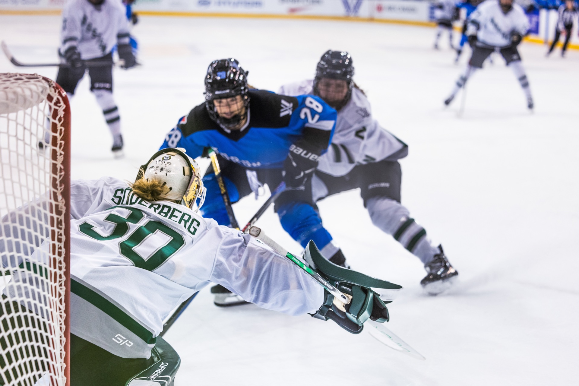PWHL game photography, Toronto — frame 12