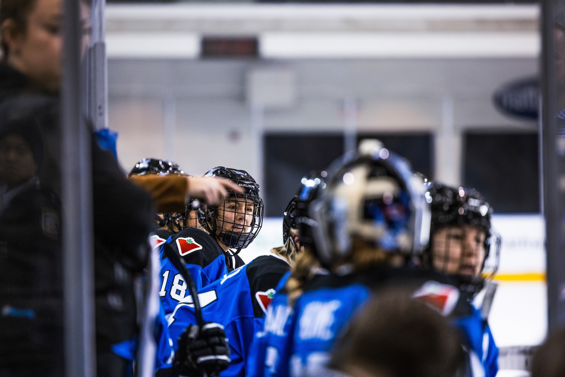 PWHL game photography, Toronto — frame 14