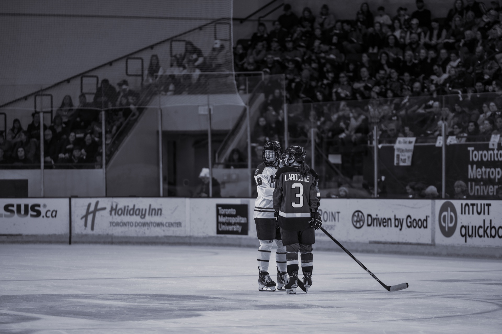 PWHL game photography, Toronto — frame 17