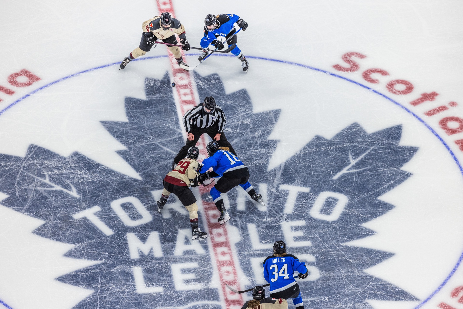 PWHL game photography, Toronto — frame 22