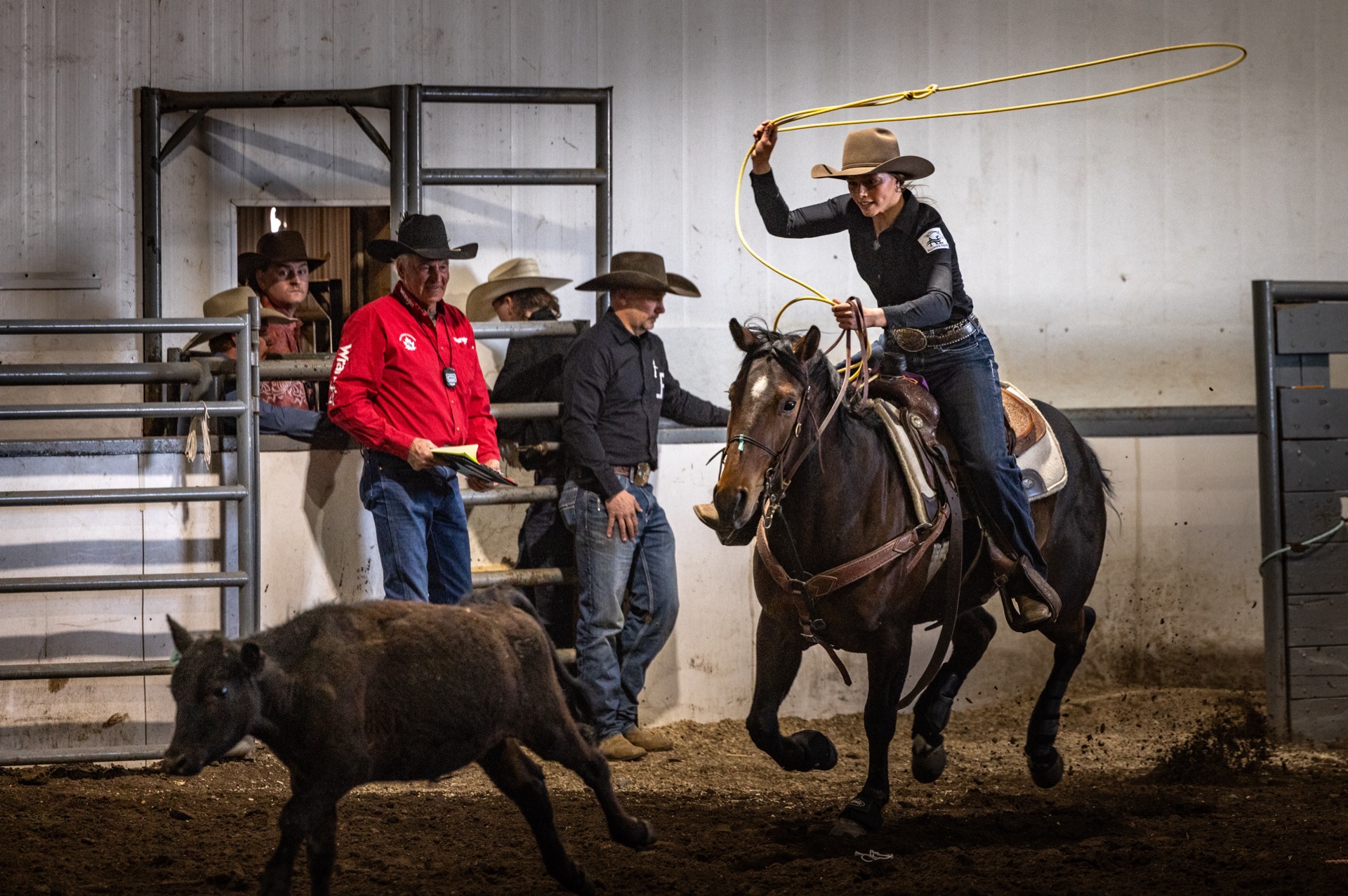A rider swings a lasso overhead as her horse turns hard after a calf, officials watching from the arena rail