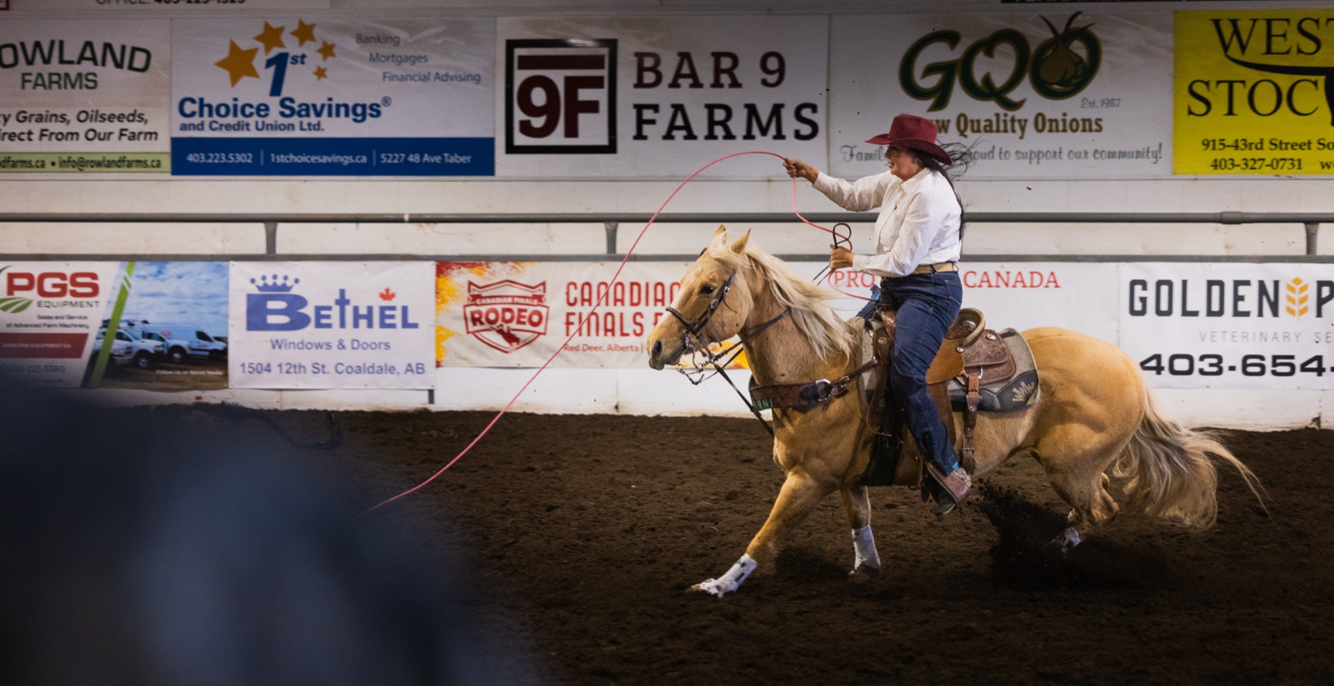A roper on a palomino works a calf in front of a wall of local sponsor boards