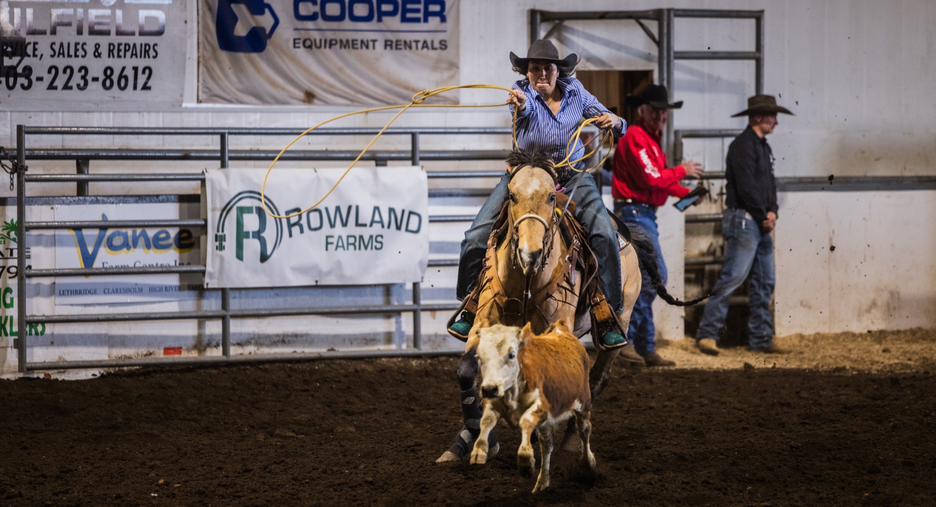 A roper leans from the saddle over a calf mid-run, another rider closing in behind
