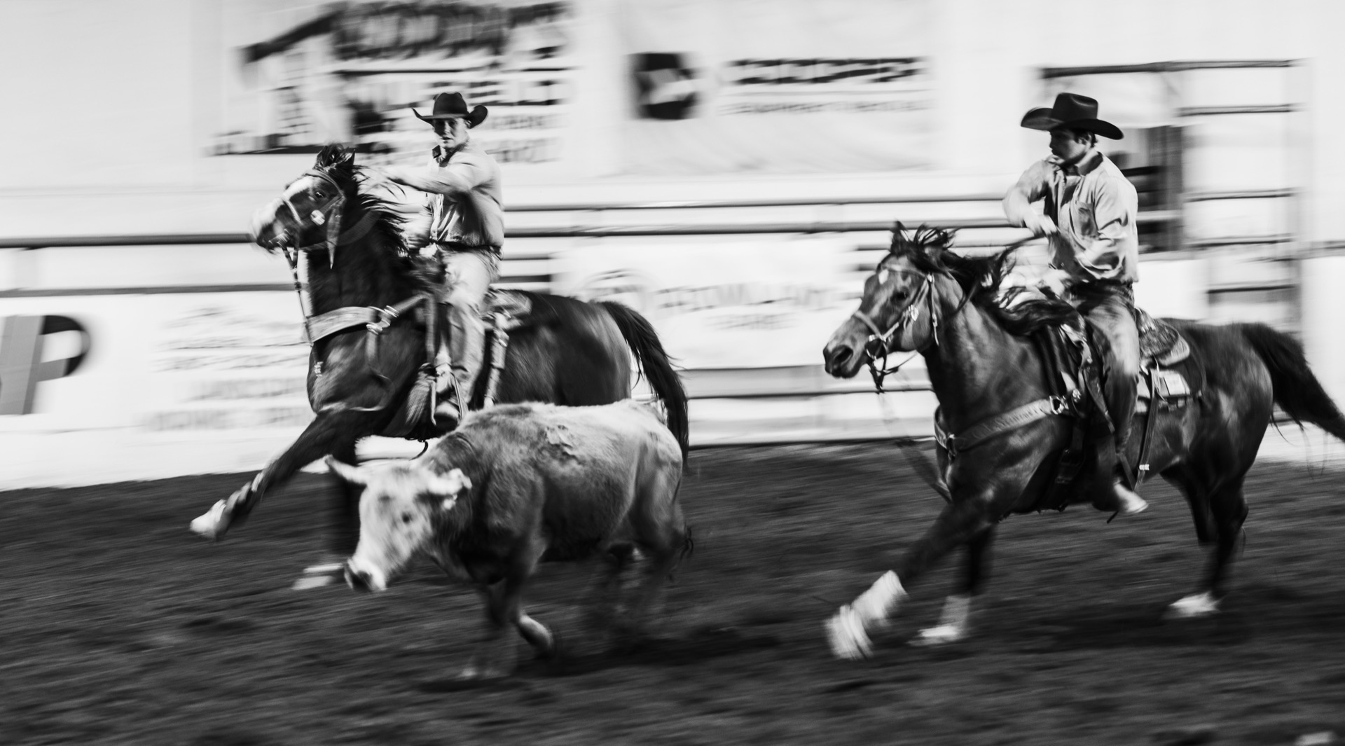 Black and white pan blur: two riders flank a running steer across the arena