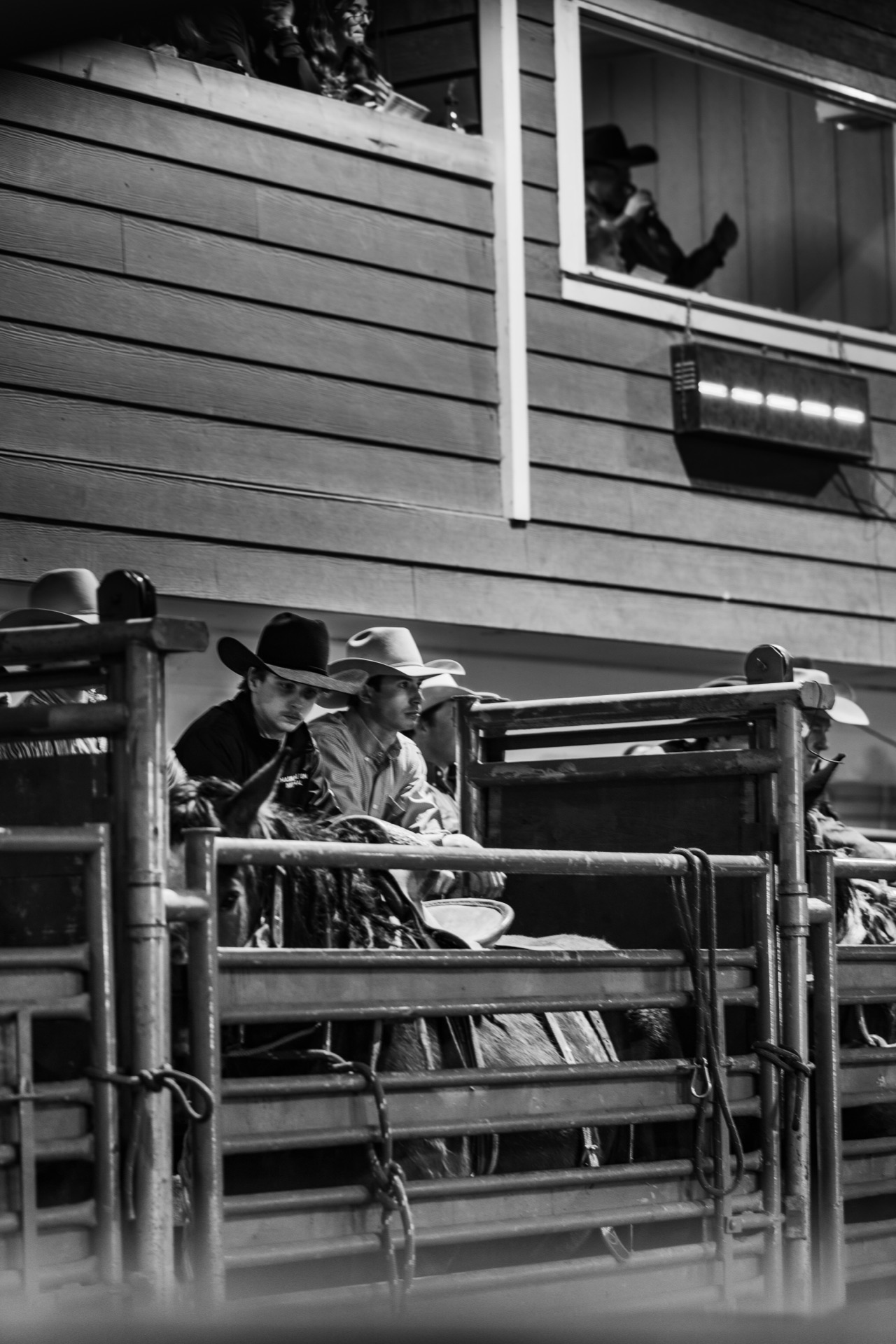 Cowboys wait in the chutes below the announcer's booth, hats catching the light