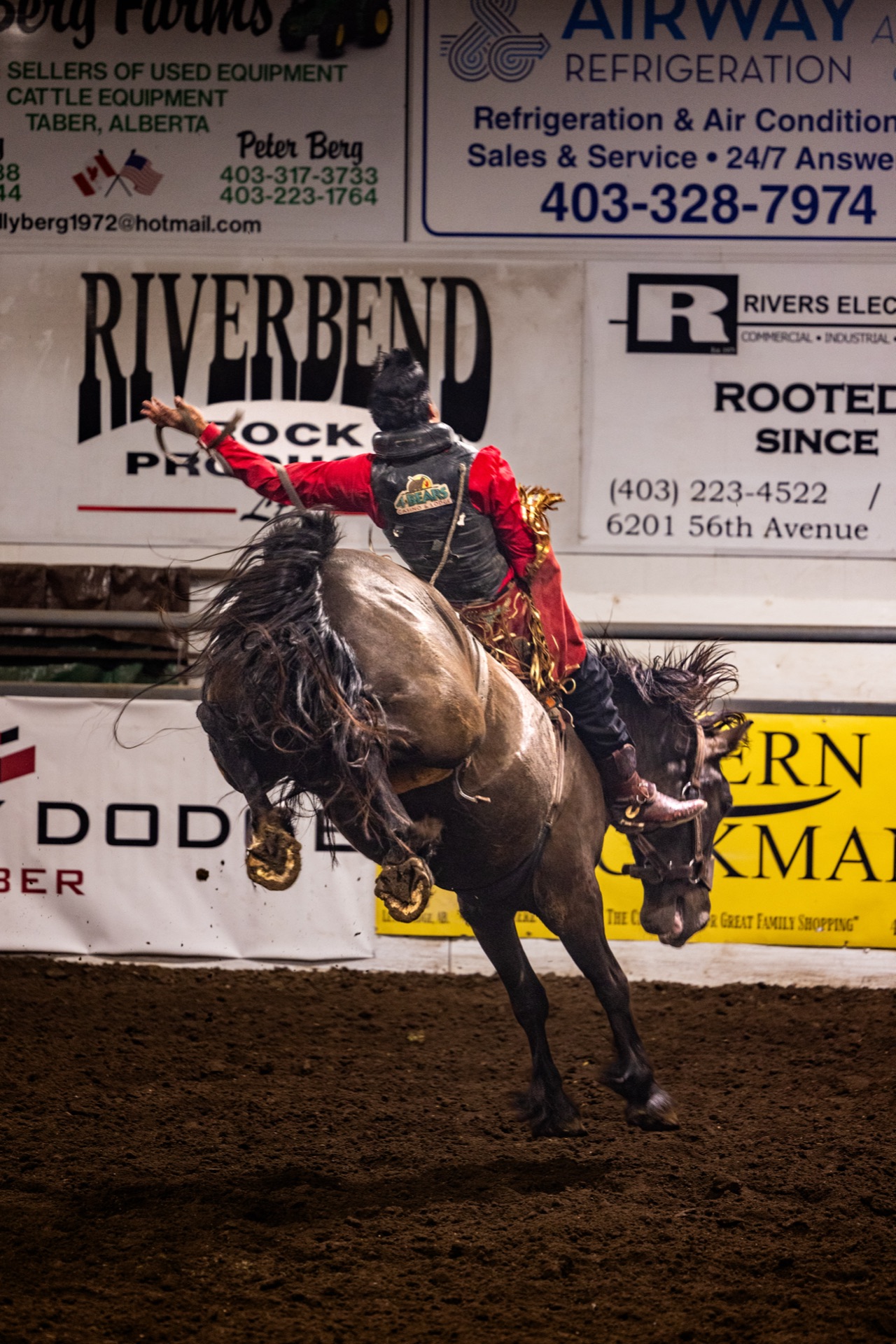 A saddle bronc rider, free arm raised, as the horse kicks out beneath the sponsor boards