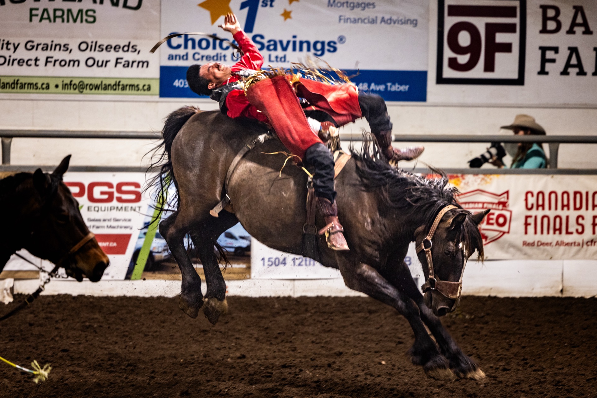 A bronc rider leans back over a horse in mid-buck, hooves off the ground
