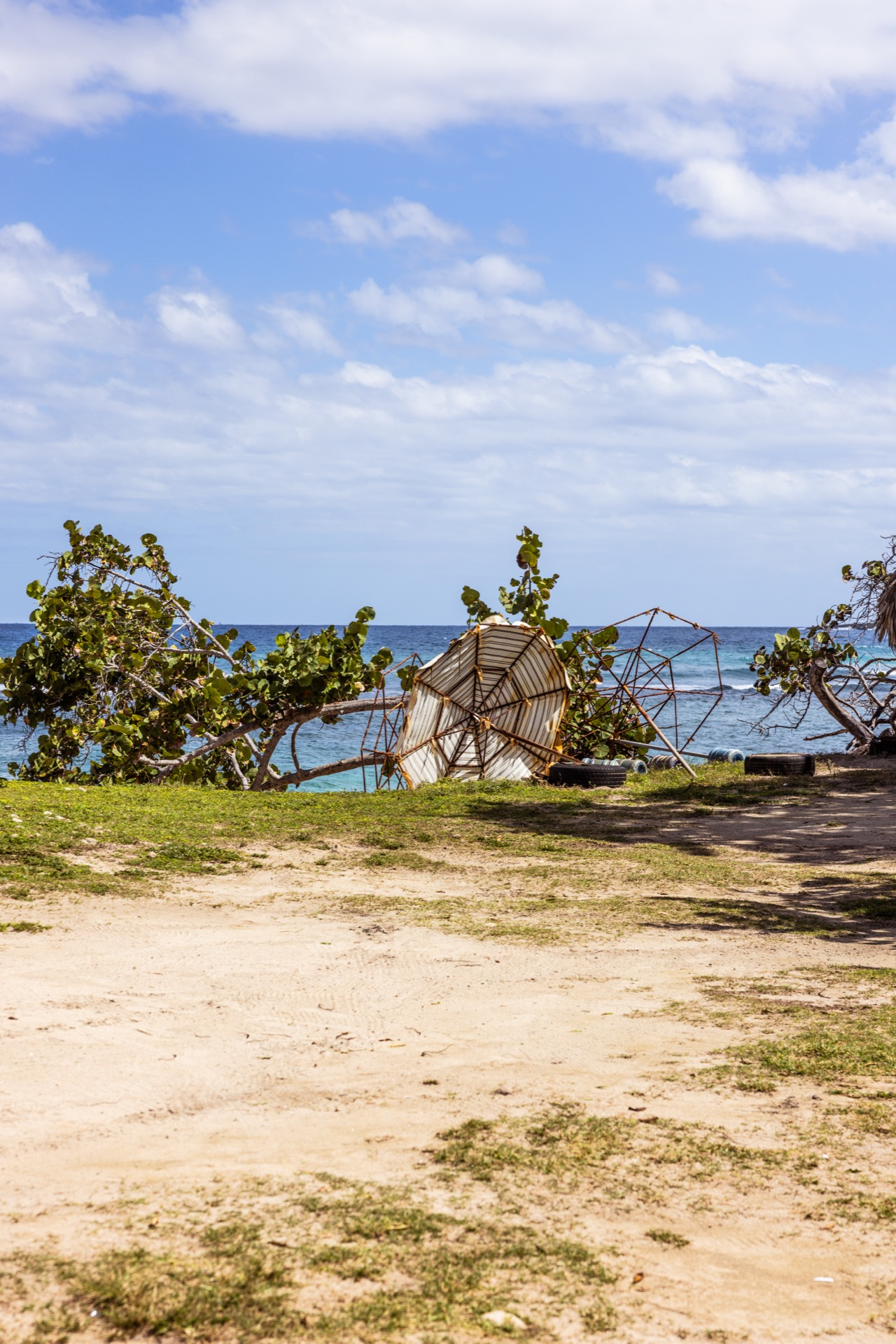 A collapsed metal shelter and downed sea-grape trees on a sandy shorefront, the Atlantic behind them